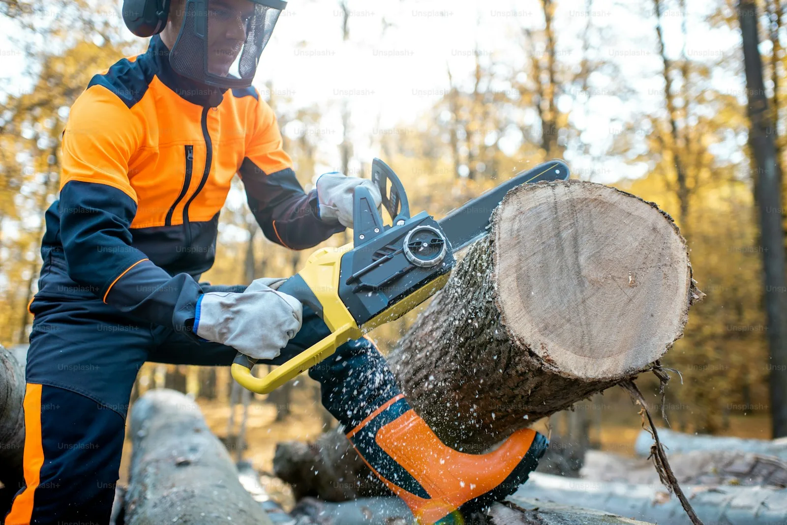 Professional tree removal crew with chainsaw in Charlotte NC